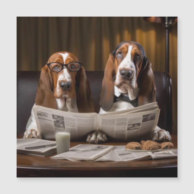 Basset hounds à lire le journal (Devant)