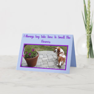 Basset mignonne W/Flowers & Crème glacée sur carte