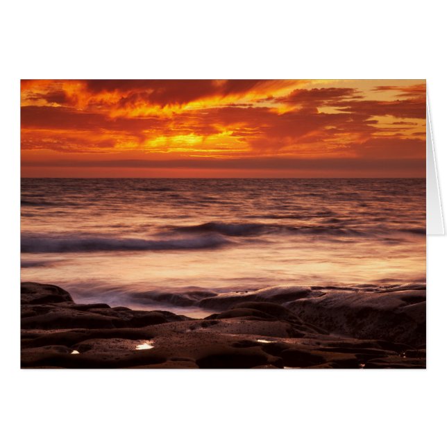 Bassins de marée de La Jolla (Devant horizontal)