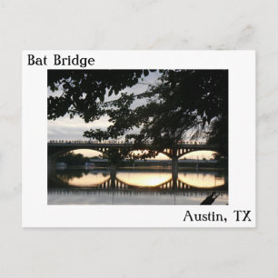 Bat Bridge en Austin, Texas Carte postale