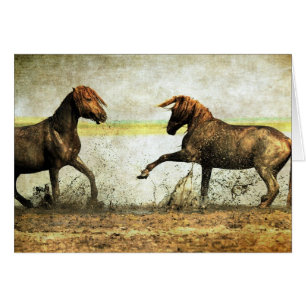 Bataille de Mustang