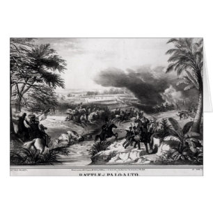 Bataille de Palo Alto