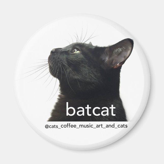 Batcat : aimant (Devant)