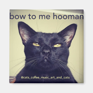 Batcat : Bow to me hooman Magnet