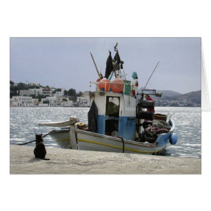 Bateau à lunch pour chat