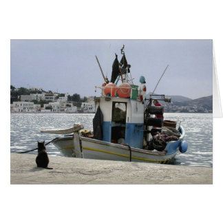 Bateau à lunch pour chat