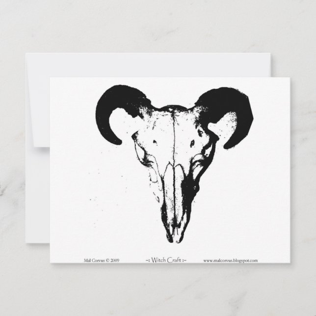 Bateau de cuisine : Bucca Skull (Devant)