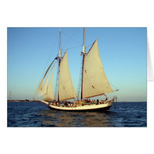 bateau de tondeuse de coucher du soleil