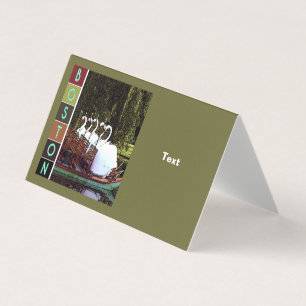 Bateaux à cygne en été - Boston