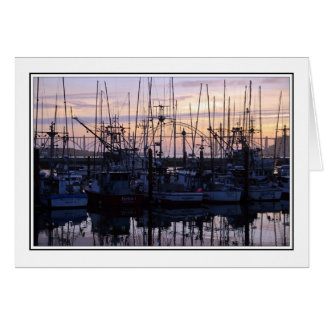 Bateaux de crevette
