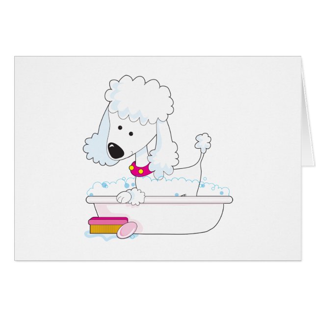 Bath de caniche (Devant horizontal)