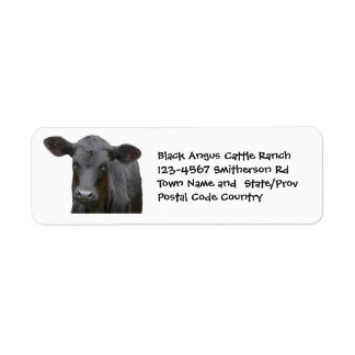 Bâtiment de bovins Black Angus ou Sticker de ranch