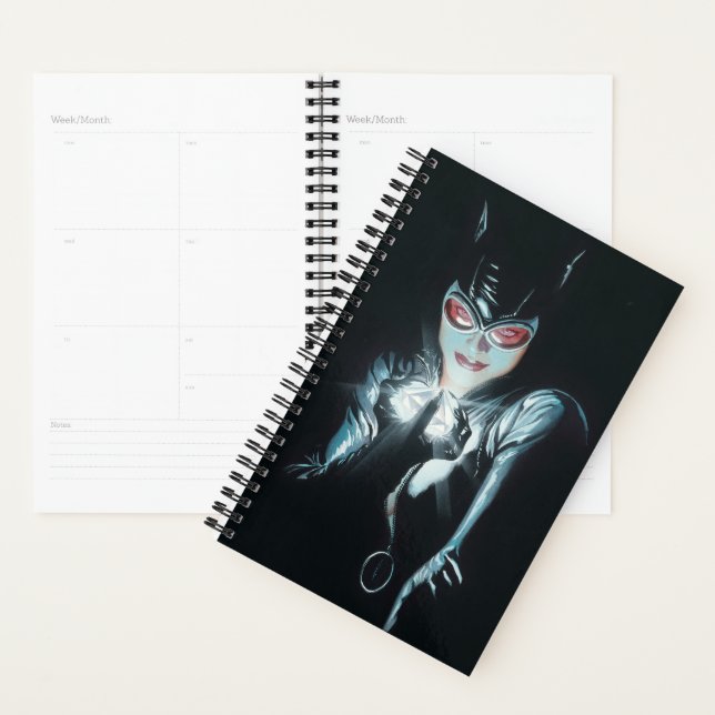 Batman Catwoman Faces of Evil Cover Illustration (Devant avec enveloppe)