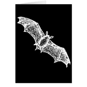 Bats