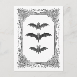 Bats Vintage cadre Halloween Carte postale