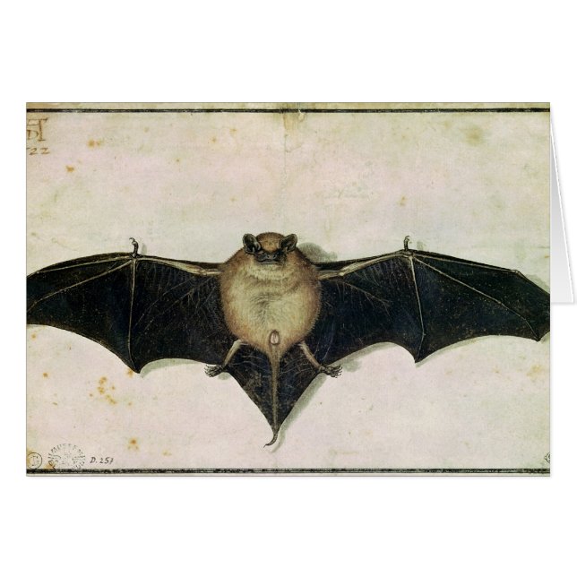 Batte, 1522 (Devant horizontal)