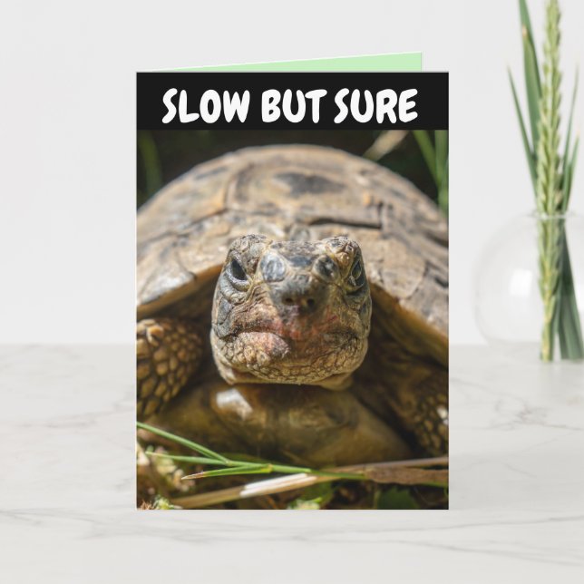 BATTUE BIRTHDAY TURTLE Carte de voeux (Devant)