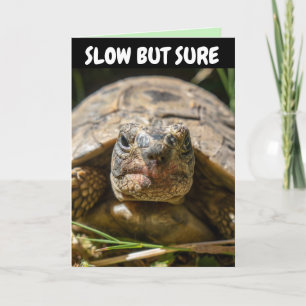 BATTUE BIRTHDAY TURTLE Carte de voeux