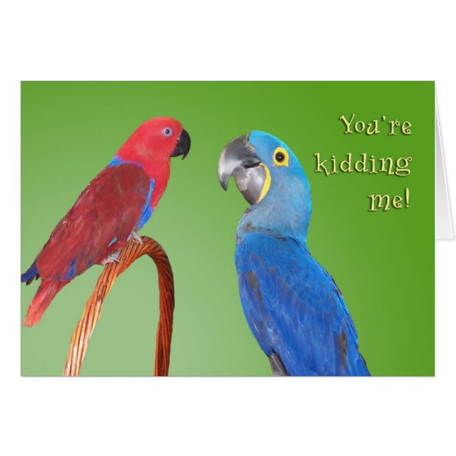 Bavardage (Devant horizontal)