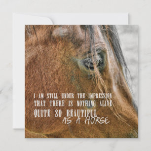 BAY BEAUTÉ 5,25 x 5,25 carte