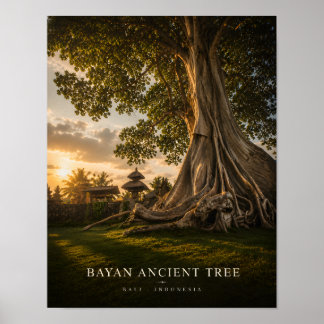 Bayan Ancien Arbre Bali Affiche