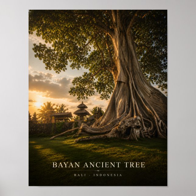Bayan Ancien Arbre Bali Affiche (Devant)