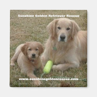 Bayou Magnet - Sunshine Golden Retriever Secourt..