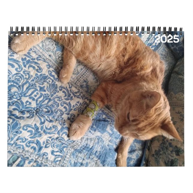Bazz 12 Mois 2025 Calendrier personnalisé (Protection)