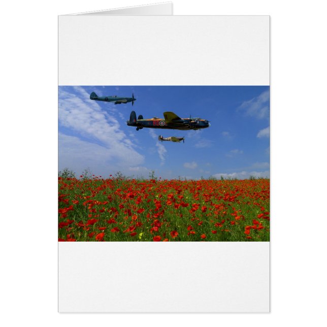 BBMF et poppies (Devant)