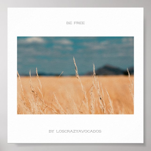Be Free Savannah Golden Grass Africa Poster (Devant)