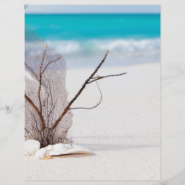 beach and sea-concept beach beach beauty blue cari (Devant)