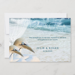 Beach Birds Gannet Photo Mariage Carte de remercie