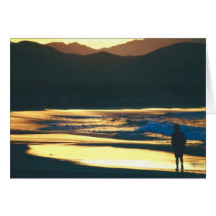 Beach Dawn