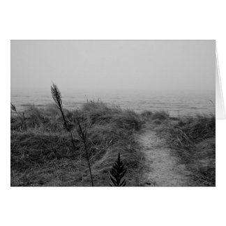 Beach path
