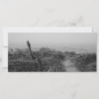 Beach path