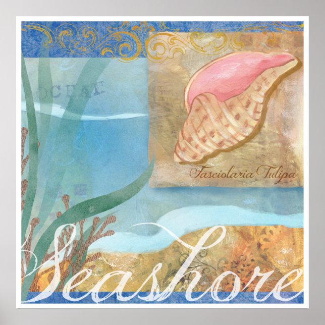 Beach Poster IV, "Seashore with Tulip Shell" (Devant)