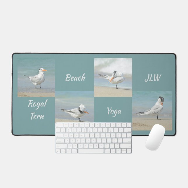 Beach Yoga Seabirds Terns Photographie (Créateur téléchargé)
