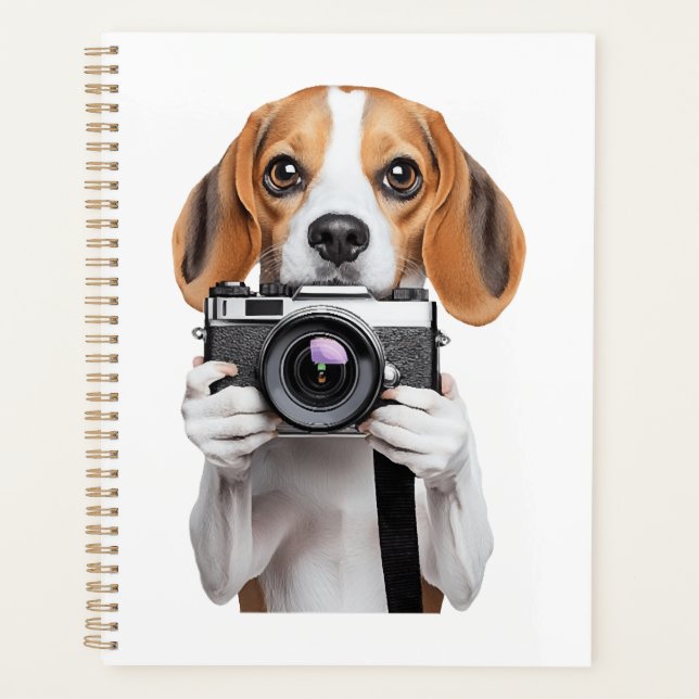 Beagle (Devant)