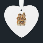 Beagle<br><div class="desc">Beagle</div>