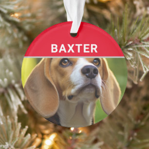 Beagle avec le nom du chien et la photo Noël