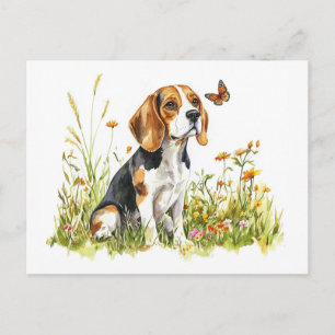 Beagle et papillon - Carte postale