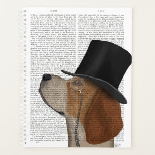 Beagle, Hound officiel et Casquette