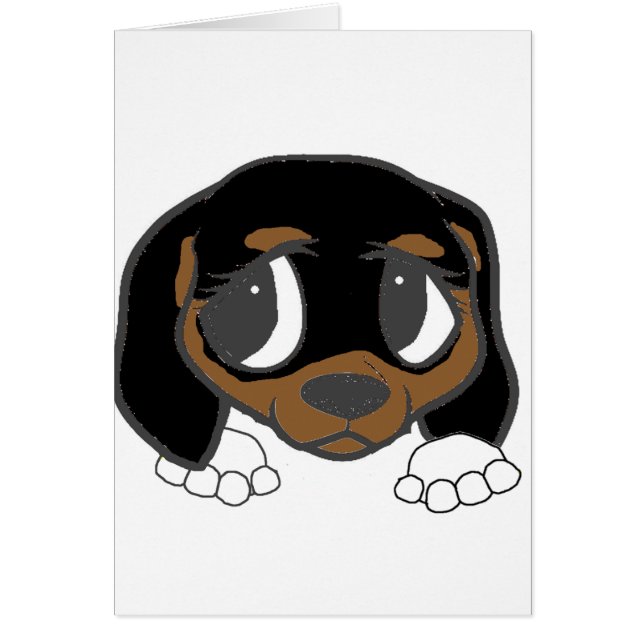beagle noir teint (Devant)