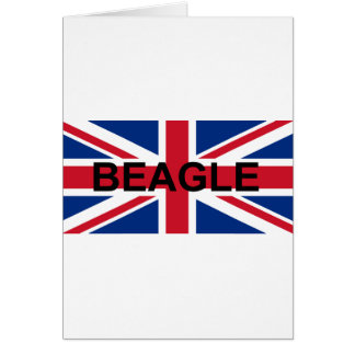 beagle nom england drapeau du Royaume-Uni