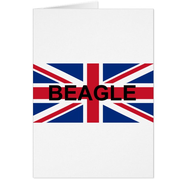 beagle nom england drapeau du Royaume-Uni (Devant)