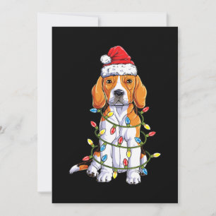 Beagle Père Noël Noël Arbre Lumières Noël Cadeaux