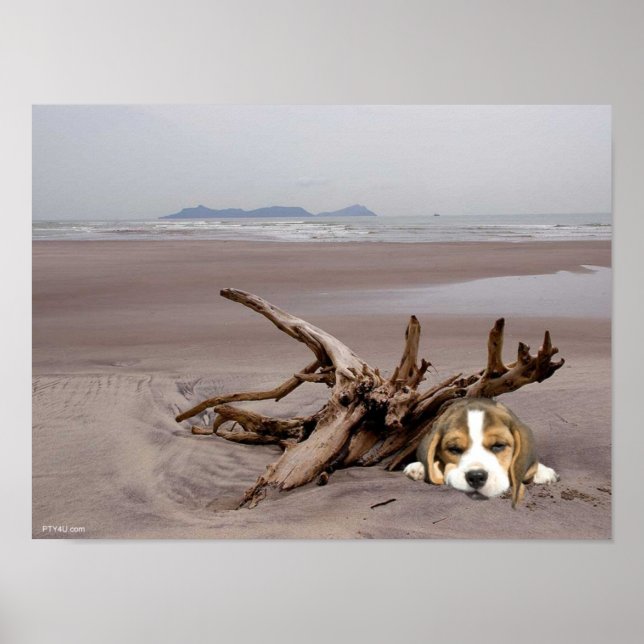 Beagle Puppy On The Beach Poster (Devant)