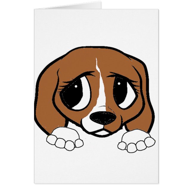 beagle rouge blanc peeking (Devant)