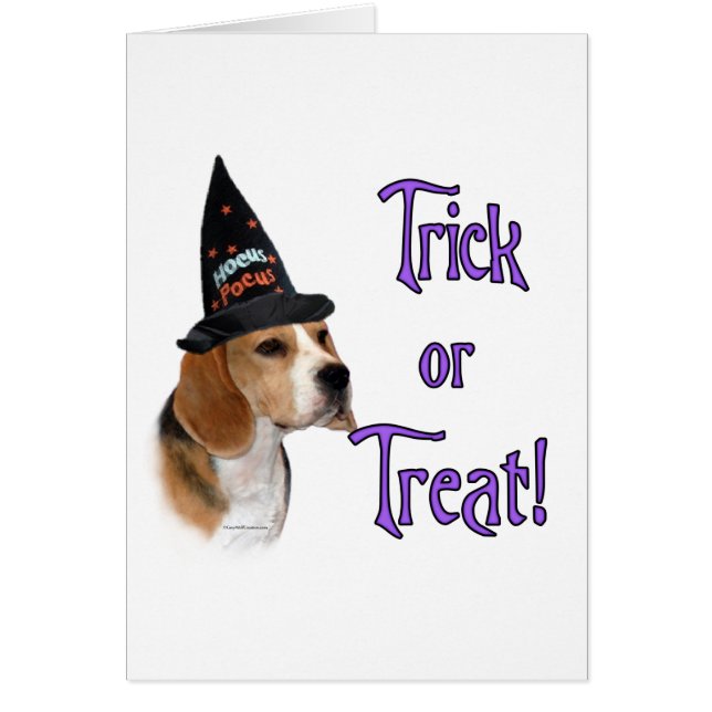 Beagle Trick (Devant)