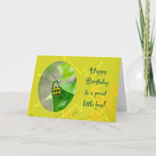 Bean Beetle Little Boy Carte d'anniversaire